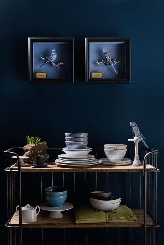 Miho Unexpected Thing