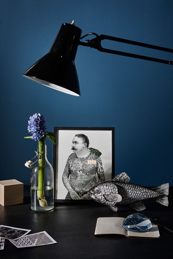 Miho Unexpected Thing