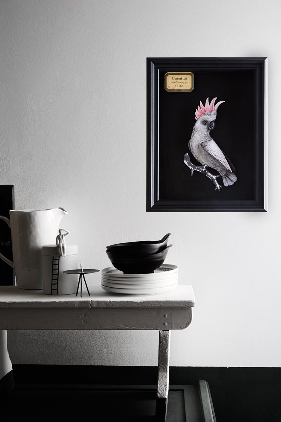 Miho Unexpected Thing