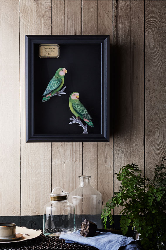 Miho Unexpected Thing