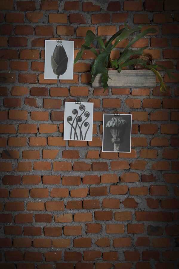 Pharma, Arch. Mirko Moriggi