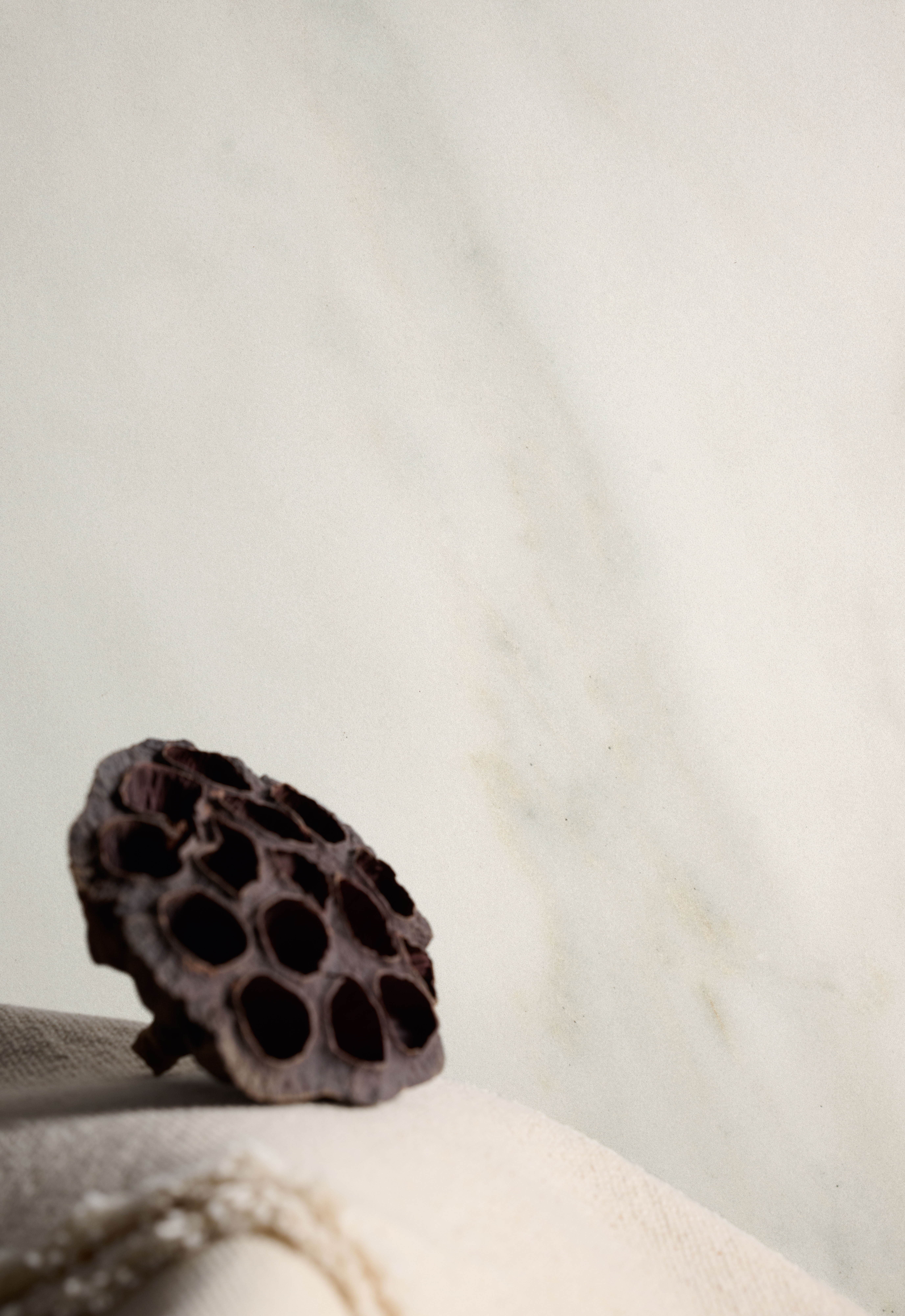 Simpolo material detail and styling by Irene Baratto